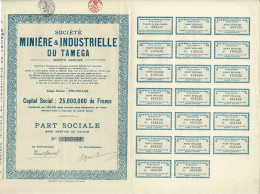 - Titre De 1925 - Société Minière & Industrielle Du Tamega - N° 183533 - - Mines