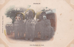 Eléphants Du Laos Indochine éléphant Laotien à La Foire De Hanoi Tonkin 1902 Collection Moreau Indochine Vietnam - Laos