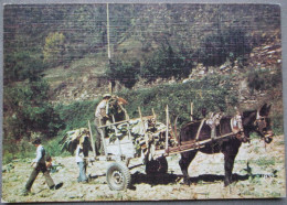 ANDORRA LA BELLA TABAC HARVEST POSTKARTE TARJETA POSTAL POSTCARD ANSICHTSKARTE CARTE POSTALE CARTOLINA - Segovia