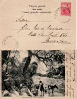 ARGENTINA 1903  POSTCARD SENT TO  BUENOS AIRES - Cartas & Documentos