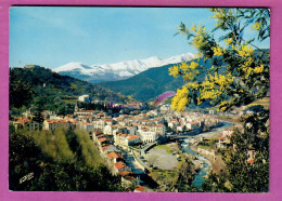 CPM ROUSSILLON 66 - AMELIE LES BAINS - Station Thermale Et Le Canigou Vue Generale De La Ville Mimosas - Roussillon