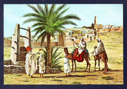 Sud-Algérien. Scènes Et Types. Ghardaïa, Mosquée, Oasis, Méharistes Et Mozabites. 1980 - Ghardaia