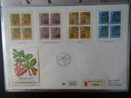 Schweiz FDC , Mi 1083-1086 , 4er Block , Pro Juventute , Großformat - Brieven En Documenten