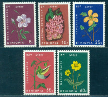 1965 Flowers,Abyssinian Rose,Maskal Daisy,Hypericum,medicinal,Ethiopia,495 ,MNH - Piante Medicinali