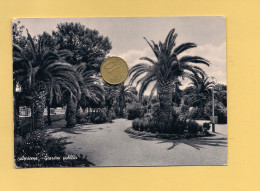 MM3686 PUGLIA APRICENA Foggia 1964 Viaggiata - Sonstige & Ohne Zuordnung