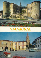 *CPM - 81 - SALVAGNAC - Multivues - Le Château - L'église - Salvagnac