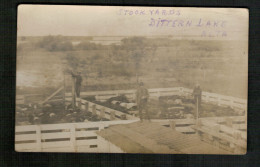 Vintage Postcard - STOCK YARDS - BITTERN LAKE -  ALTA - Other & Unclassified