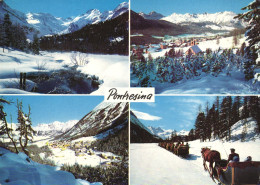 PONTRESINA, GRISONS, ROSEGTAL, MULTIPLE VIEWS, ARCHITECTURE, MOUNTAIN, HORSE, LUGE, SWITZERLAND, POSTCARD - Pontresina