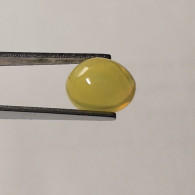 Opale Précieuse Naturelle D'Ethiopie - Cabochon 1.28 Carat - 8.5 X 7.1 X 4.5 Mm - Ópalo