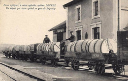 DEPT 89 SEIGNELAY FOSSE SEPTIQUE DEPART PAR TRAIN SPECIAL TRÈS  BELLE  ANIMATION 9X14 REIMPRESSION DE CARTES ANCIENNES - Seignelay