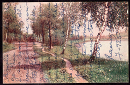 Deustchland - 1925 - Trees - Grass Path And A River - Alberi