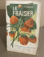 Le Fraisier - Encyclopédies