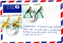 NAMIBIA  Letter,  Lilacbreasted Roller, Flowers   /  NAMIBIE  Lettre, Birds, Fleurs - Storchenvögel