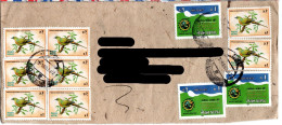 NEPAL, Letter,  Bird,  Pintailed Green Pigeons  /   Lettre, Oiseau, Pigeons Verts - Pigeons & Columbiformes