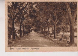 FANO  VIALE MAZZINI  I PASSEGGI  VG  1939 - Fano