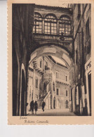 FERMO  PALAZZO COMUNALE  VG  1950 - Fermo