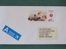 Belgium 2022 Cover Leuven Local - Dog Cat - Storia Postale