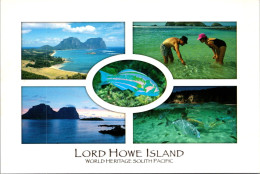 15-2-2024 (4 X 20) Australia - NSW - Lord Howe Island  (posted With Bird Stamp 2002) - Autres & Non Classés