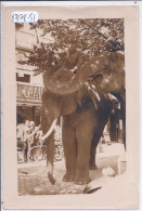 REIMS- PHOTO- LES ELEPHANTS A REIMS- PHOTO ETS GOULET-TURPIN- - Andere & Zonder Classificatie