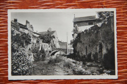 34 - ST PONS : Vieux Pont Sur Le JAUR - Saint-Pons-de-Thomières