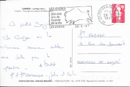 PREHISTOIRE PEINTURE DE BISON - FLAMME LES EYZIES 1993 SUR CARTE LE PAYS VERT DE CORREZE, EDITION FRANCE REGARD EGLETONS - Prehistorie