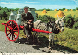 IRLANDE - Delivering Milk To The Greamary Ireland - Carte Postale - Otros & Sin Clasificación