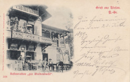 AK (NÖ) Gruss Aus BAD VÖSLAU - Vornehme Gäste Bei Der Restauration WALDANDACHT 1899 - Baden Bei Wien