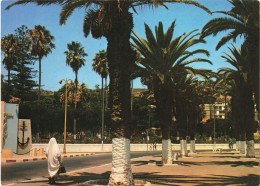 ALGERIE - Vue Sur Le Boulevard Emir Abdelkader - Lumière Et Beauté D'Oranie - Colorisé - Carte Postale - Autres & Non Classés