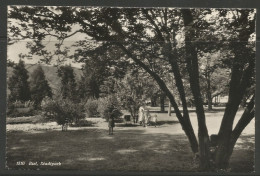 Carte P De 1956 ( Biel / Stadtpark ) - Bienne