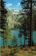 SUISSE - Oeschinensee - Blümlisalp -  Colorisé - Carte Postale Ancienne - Otros & Sin Clasificación