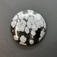 Obsidienne "Flocons De Neige" Naturelle Du Pérou - Cabochon 21.10 Carats - 23.7 X 23.7 X 5.2 Mm - Obsidiana