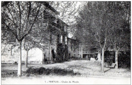 84- Pertuis - Chalet Du Moulin - Pertuis