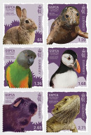 Guernsey - Postfris / MNH - Complete Set 150 Years GSPCA 2024 - Guernesey