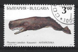 Bulgaria 1995 Fauna  Y.T. 3604 (0) - Used Stamps