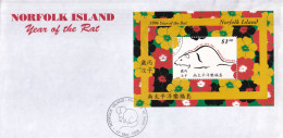 Norfolk Island 1996 Sc 601 FDC - Ile Norfolk