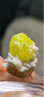 Zolfo Cristallo Singolo Gemma Sicilia Cozzodisi 1,83 Gr - Minerales