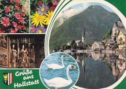 AK 201622 AUSTRIA - Hallstatt - Hallstatt