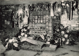 BELGIQUE - Bande - La Cave Du Massacre Des 34 Victimes Abattues La Veille De Noël 1944 - Carte Postale - Nassogne