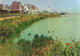 FRANCE - Cayeux Sur Mer - L'arrivée Au Hourdel - Colorisé - Carte Postale - Cayeux Sur Mer