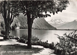 SUISSE - Vue Sur Le Château De Chillon Et Les Dents Du Midi - Carte Postale Ancienne - Sonstige & Ohne Zuordnung