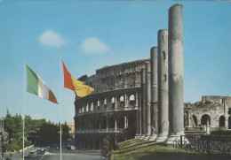 Cartolina Roma - Il Colosseo - Colosseo