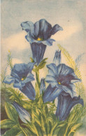 FLEURS - PLANTES - Fleurs Bleues En Cloches - Carte Postale Ancienne - Blumen