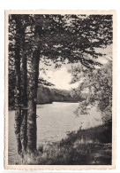 Habay-la-Neuve Vue Sur Le Lac Du Pont D'Oye - Habay