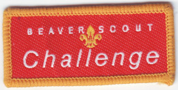 B 15 - 115 UK Scout Badge  - Scoutismo