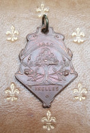 Belle Médaille Belge "Cortège Des Saisons Et Des Lumières / Ixelles 1910" Belgique - Pendants