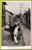 Af2944 - VENEZUELA - VINTAGE POSTCARD - Caracas - Bread Mule In A Street - Venezuela