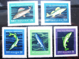 POLAND  1958  5 V  MNH - Unused Stamps