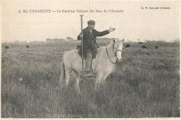 En Camargue *série De 4 CPA * N°3/8/9/11 * Gardian Cabern Mas L'amarée Manade La Baumelle Jument Cheval * Saintes Maries - Saintes Maries De La Mer