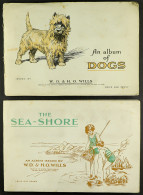 CIGARETTE CARDS BY WILLS In Albums. Includes Railway Engines, Life In The Royal Navy, Safety First, Radio Celebrities, R - Otros & Sin Clasificación