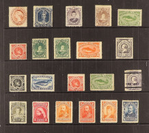 NEWFOUNDLAND - 1865 - 1899 MINT COLLECTION Of 21 Stamps On Protective Page, Note 1865-70 12c, 24c, 1868 1c Dull Purple,  - Autres & Non Classés